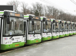 Новые маршруты в Ростове появятся только в ноябре