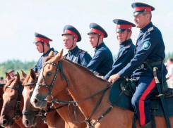 Власти Ростова пожаловались на нехватку казаков-дружинников