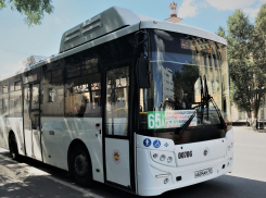 В Ростовской области выписали 300 протоколов за нарушение масочного режима в транспорте
