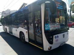 Два городских маршрута в Ростове изменят схему движения