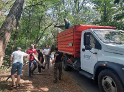 В Ростове-на-Дону прошел общегородской субботник