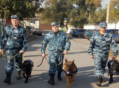 Школьник «заминировал» Дом культуры в Ростовской области