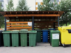 Ростовская область вошла в ТОП-5 регионов России по числу контейнерных площадок для отходов