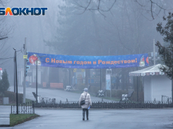 Климатолог высказался об отсутствии снега в Ростовской области