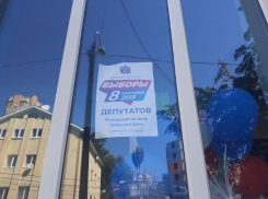 Стали известны предварительные результаты довыборов в гордуму Ростова