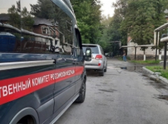 В Ростовской области мужчина убил молотком свою мать 