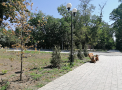 Новый, но уже похож на заброшенный: что происходит в единственном в Александровке парке на Вересаева
