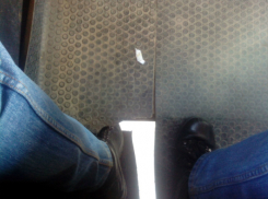 Справляющий нужду в салоне автобуса маршрутчик раскрыл секрет «половых дыр» в Ростове