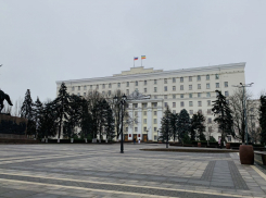 Освещение деятельности политических партий донского парламента обойдется в 62 млн рублей