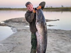 Донской рыбак поймал сома-гиганта с человеческий рост в Азовском районе