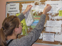 Жесткими наказаниями ударили власти Ростова по расклейщикам незаконных объявлений