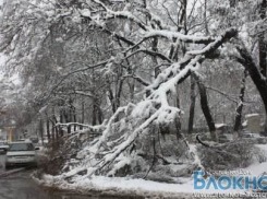 В Ростовской области объявлено экстренное предупреждение из-за снега