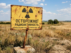 Радиация из Чернобыля спустя 40 лет обнаружена в Ростовской области