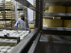 Производство пищевых продуктов в Ростовской области выросло на 6% в 2023 году