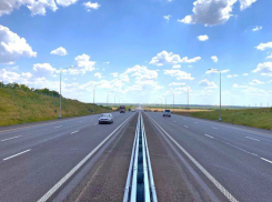Новый платный участок на трассе М-4 «Дон» в Ростовской области заработает с 18 июня