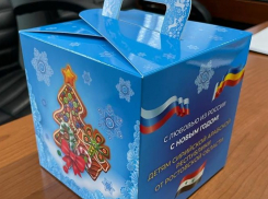 Власти Ростовской области отправят новогодние подарки детям из Сирии