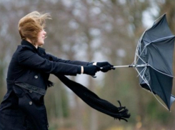 Пасмурная и ветреная погода подпортит субботний выходной жителям Ростова