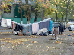 Необычное жилище во дворе дома организовала себе из вещей ростовчанка