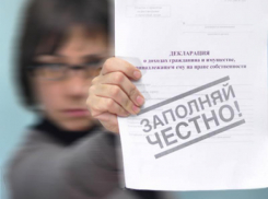 Власти Ростовской области станут проверять декларации чиновников