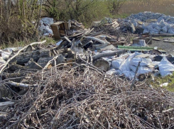 Проезжающие мимо Ростова экологи засняли свалку из окон поезда