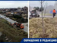 Сотрудники администрации Ростова случайно высадили елки, а потом выкопали их обратно