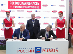 Власти Ростовской области нашли инвестора для строительства «Западной хорды»