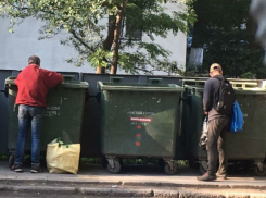 Трупы домашних животных на месте детской площадки находят жители Ростова