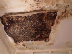 «Шикарным» капремонтом с дырами в потолке похвасталась жительница Ростова на фото