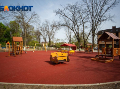 По факту демонтажа элементов благоустройства в парке Димитриевском власти Ленинского района написали заявление в прокуратуру и полицию