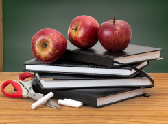 Ростовским школьникам перенесли сроки сдачи итогового сочинения