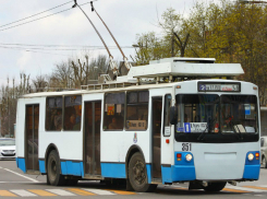 Две троллейбусные линии восстановят в Ростове-на-Дону в следующем году 