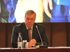 Власти Ростовской области рассказали о фантастических планах по развитию спорта в регионе