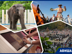 Прыгаем через костры, кормим слонов и слушаем «Оперу&оперетту»: куда пойти в Ростове на выходных