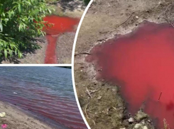 Жители Ростова пожаловались на стекающую в Дон ярко-красную жижу