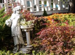 Кипучую жизнь Ростова-папы подложили увидеть ростовчанам на пешеходной экскурсии