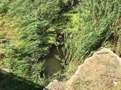 Новое «рыбное место» появилось на территории недостроенного отеля Sheraton в Ростове