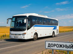 Из Ростова запустили два новых автобусных маршрута до посёлка Дорожного и хутора Ленина
