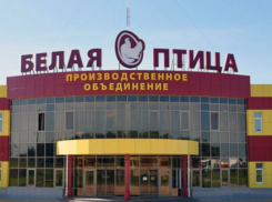 Ставропольский холдинг взял в аренду комплекс «Белая Птица — Ростов»