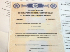 Материнский капитал каждый месяц и на руки будут получать жительницы Ростовской области