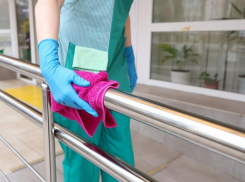 Власти Ростова привлекли клининговую компанию для профилактики коронавируса