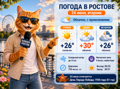 Жара до +30 градусов и слабая магнитная буря ожидаются в Ростове 24 июня