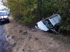 В лобовом ДТП под Ростовом серьезно пострадал мужчина