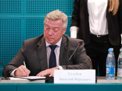 Зачем Ростовской области еще один министр для борьбы с коррупцией: мнение экспертов