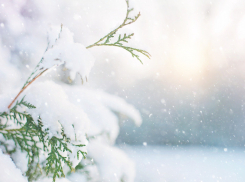 В среду в Ростове-на-Дону синоптики прогнозируют снег 