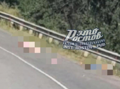 В Ростовской области в ДТП мотоциклиста разорвало на части