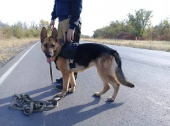 Служебная собака помогла поймать вора - «путешественника» с тачкой наживы в Ростовской области