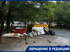 Опасная свалка: ростовчанка рассказала о пожаре из-за мусора возле дома на СЖМ и бездействии властей