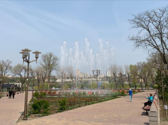 В парке «Левобережный» в Ростове хотят построить фонтан