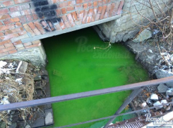 Вода в Безымянной балке окрасилась в изумрудно-зеленый цвет