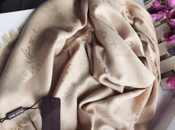 Многодетная мать торговала липовым «Луи Вюиттоном» в одном из торговых центров Ростова